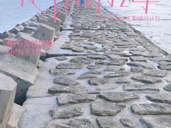 -南汇新城海滩