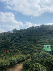 -东航云逸酒店·宴会厅