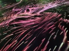 -成都梵高星空艺术馆(春熙路旗舰店)