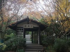 -中国茶叶博物馆(双峰馆区)