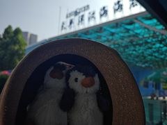 -太平洋海底世界