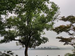 -杭州西湖柳莺里酒店