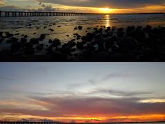 -宝安西湾红树林湿地公园