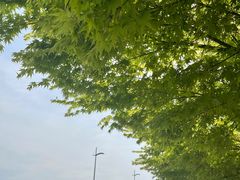 -钱江新城