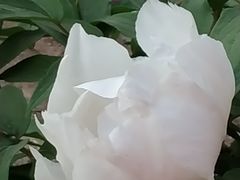 -太原动物园