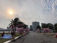 -野狸岛