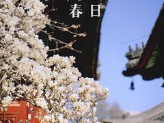 -北京艺术博物馆(万寿寺)