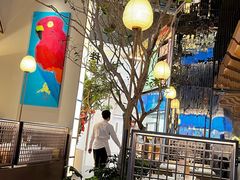-桂满陇·海市蜃楼·黑金(国金店)