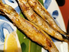 -初花·日本料理