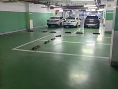 -复旦软件园·智慧新天地-停车场