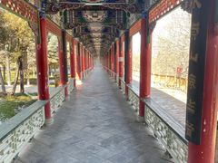 -兰山公园