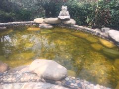 -天目湖涵田半山温泉