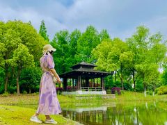 -尚贤河湿地