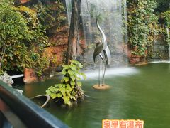-碧江金楼