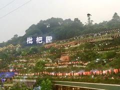 -枇杷园食为鲜火锅(南山店)