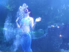 -嘉兴海底世界