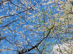 -云漫湖生态度假公园