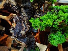 -老张烤羊(王哥庄店)