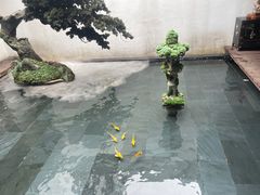 -觀芷隐轩