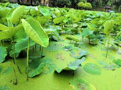 -西南交通大学(峨眉校区)