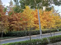 -SnowPeak Cafe(上海环宇城Max店)