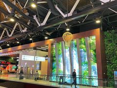 -谢列梅捷沃国际机场