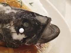 -维也纳国际酒店·江苏苏州火车站北广场店