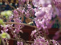 -北京国子监胡同