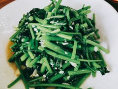 -新天明砂锅鱼头煲