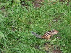 -长白山万达锦华套房酒店