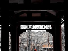 -顺峰山公园