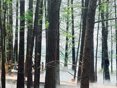 -东湖落雁景区