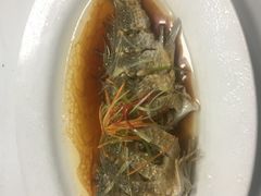 -睿柏云酒店-餐厅