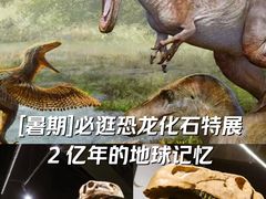-遇见博物馆(遇见海洋沉浸式奇幻光影展)