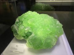 -湖南省地质博物馆