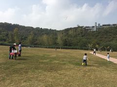 -羊山湖公园