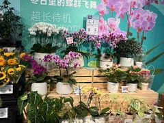 -盒马鲜生(杭州运河上街店)