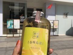 -奈雪的茶(石家庄万象城店)