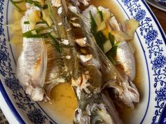 -洞天食府(北大街店)