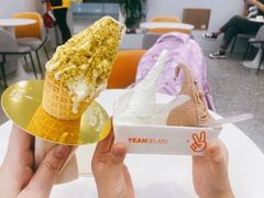 -野人先生现做冰淇淋(北京环宇荟店)