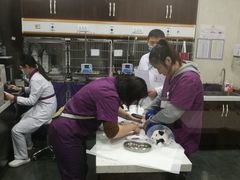 -宠爱国际动物医院·疑难骨科·心肾内科·皮肤科(太阳宫店)