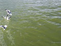 -大理洱海