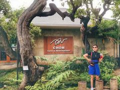 -Chom Cafe and Restaurant