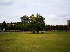 -南京邮电大学(仙林校区)
