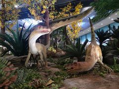 -湖南省地质博物馆