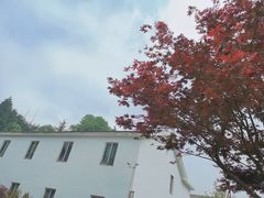 -四明山国家森林公园