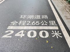 -海珠湖公园