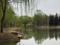 -北坞公园
