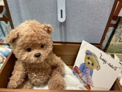 -TeddyTales莉娜熊(国贸店)