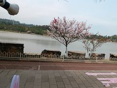 -洛龙公园